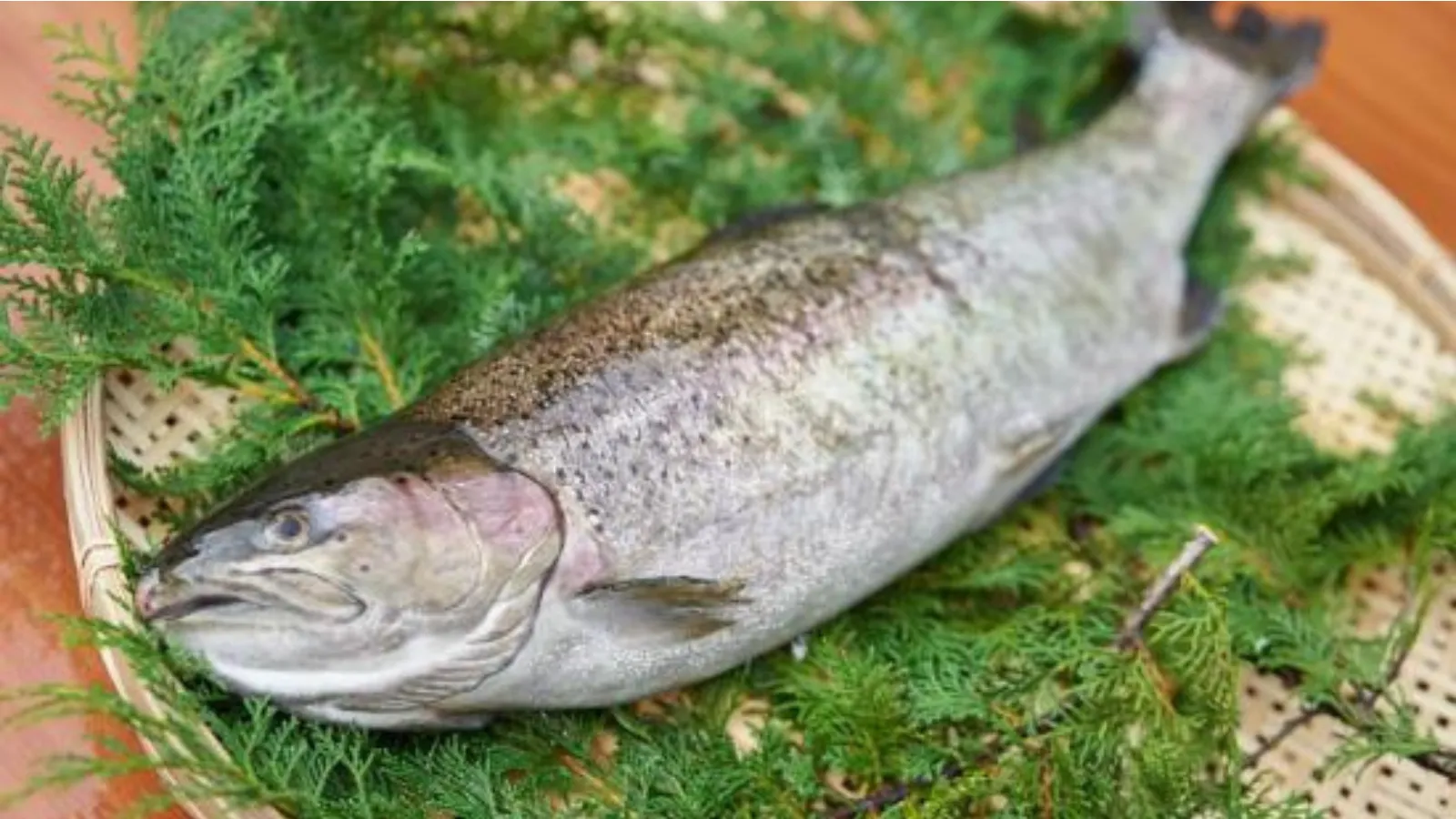 完全無投薬！富士河口湖町でサステナブルな山梨県産養殖サーモン『富士頂純サーモン』で美味しいディナーを満喫する